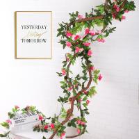 uploads/erp/collection/images/Home Garden/CongDing/XU0612308/img_b/XU0612308_img_b_1